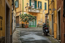  carrara
